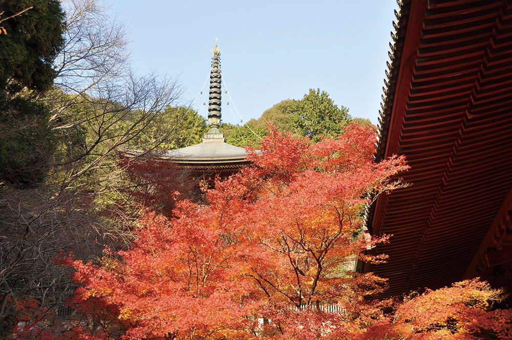 神護寺-金堂から見る多宝塔