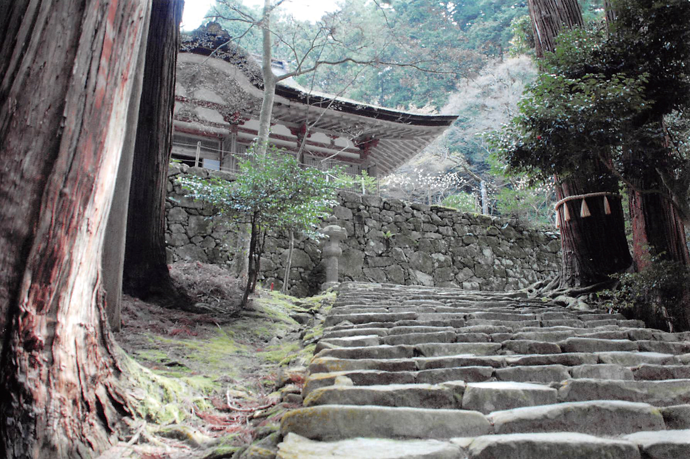 百済寺-林間に佇む本堂