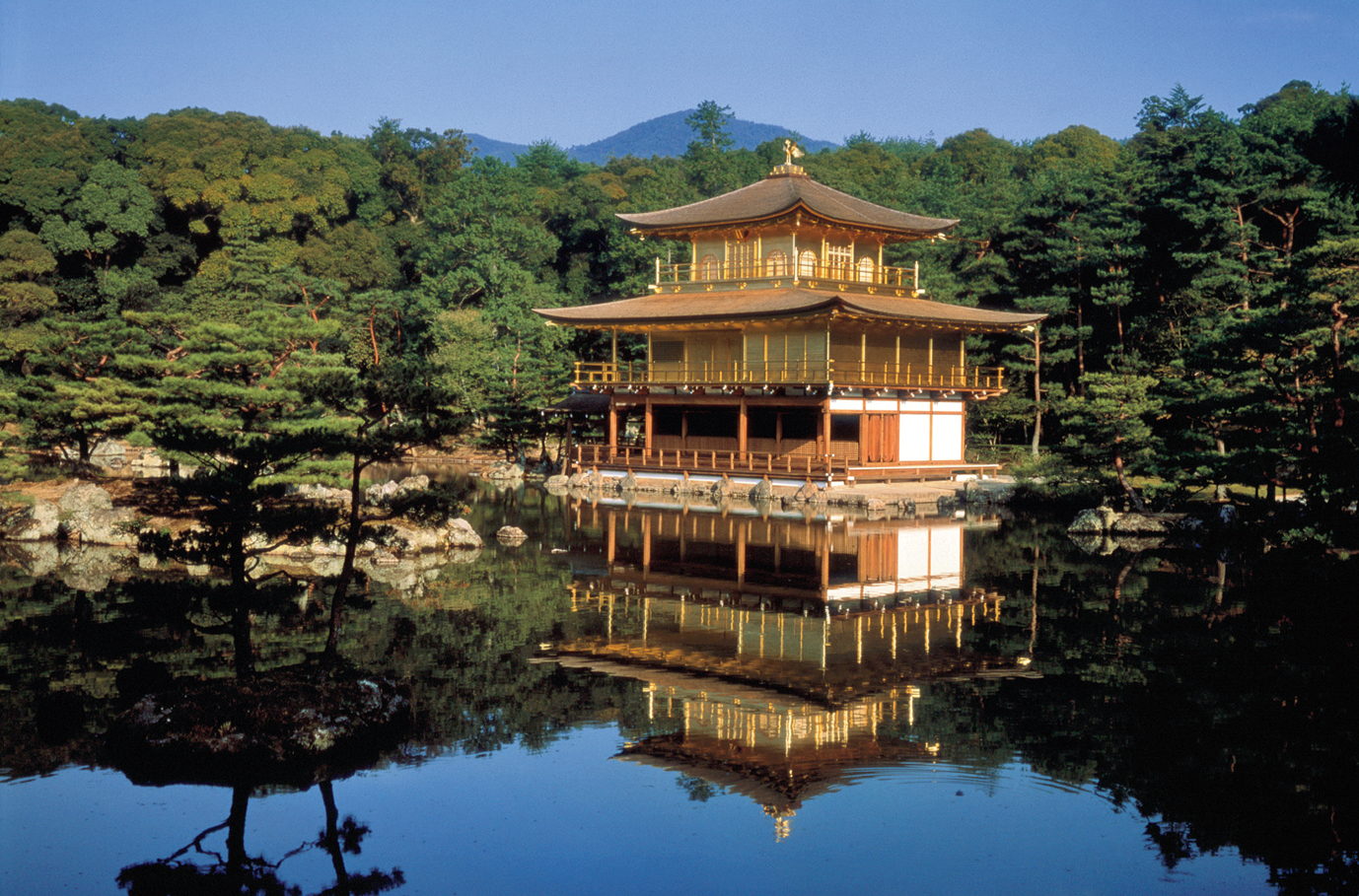 金閣寺（鹿苑寺）-新緑の金閣