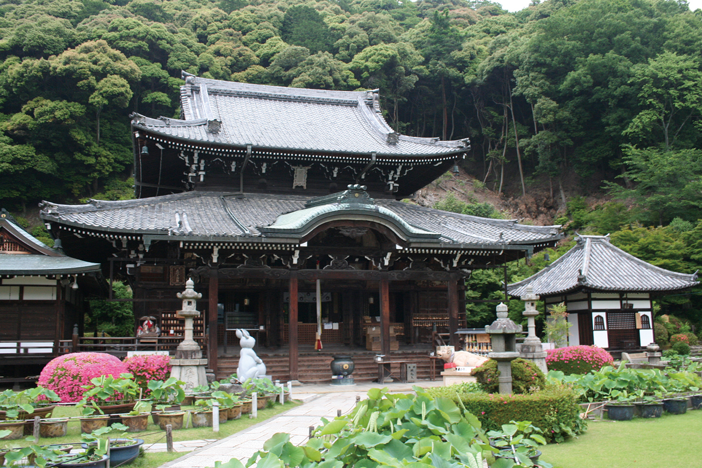 三室戸寺-本堂