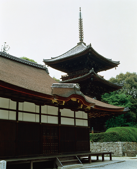 三井寺（園城寺）唐院灌頂堂と三重塔