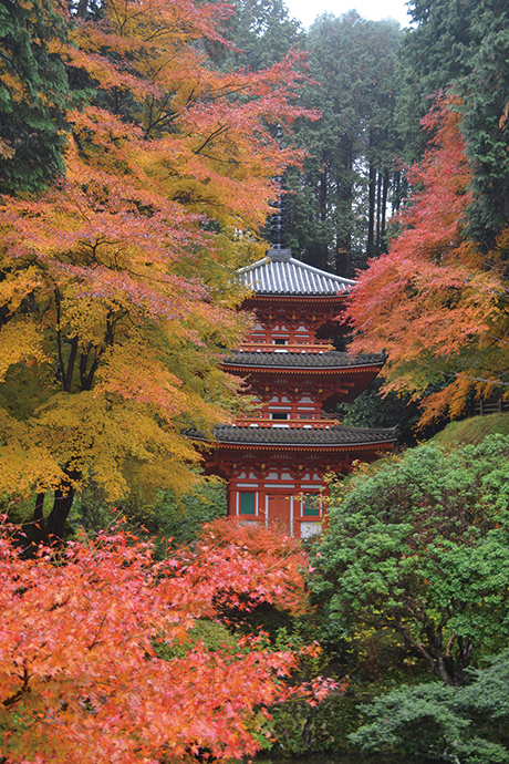 岩船寺-紅葉と三重塔