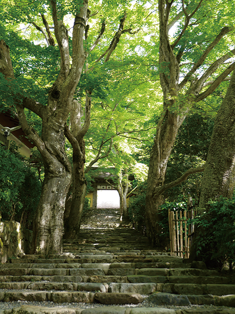 寂光院-参道