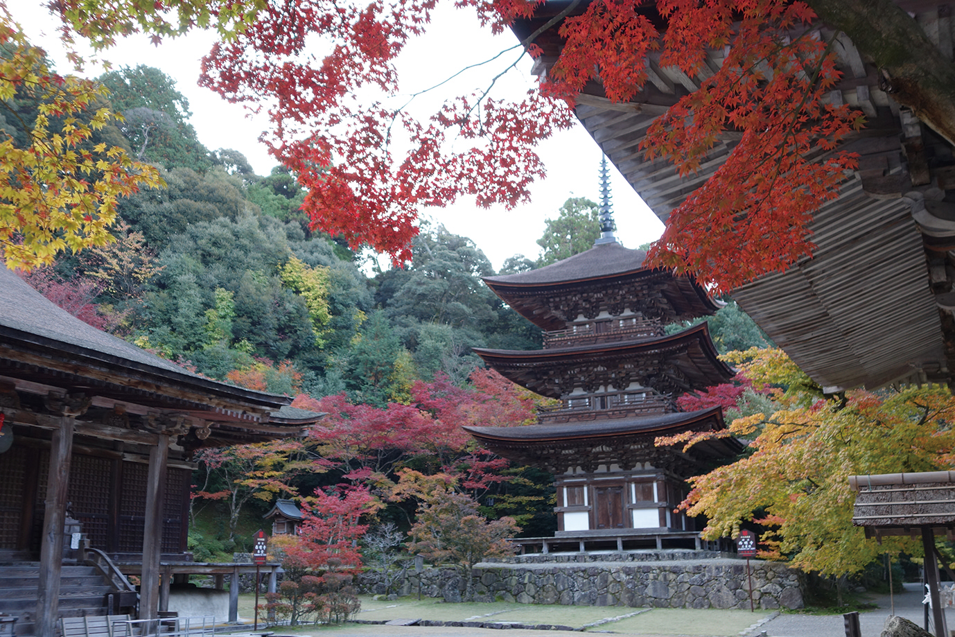 西明寺-本堂（左）と三重塔