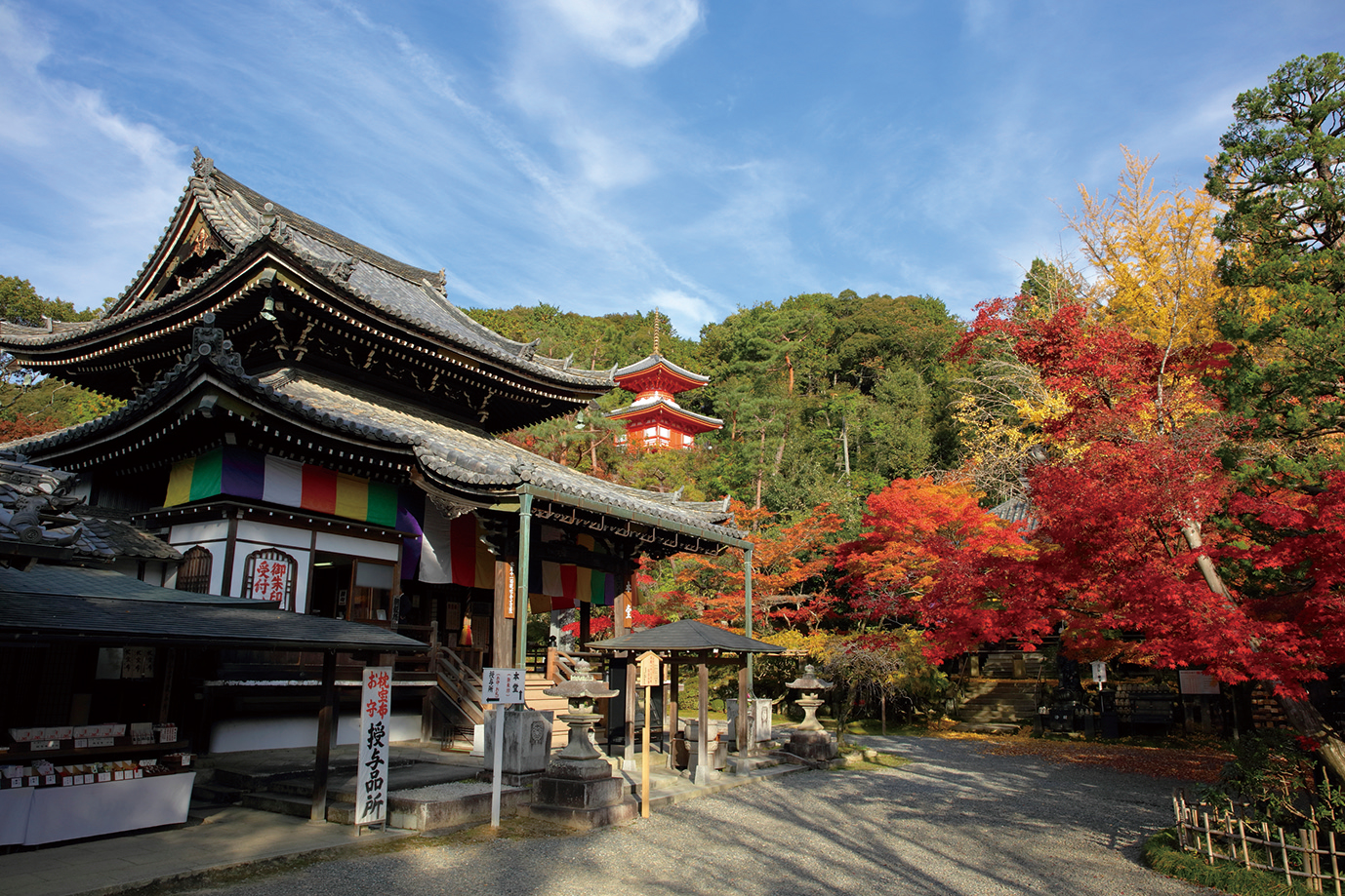 観音寺-本堂と医聖堂（多宝塔）