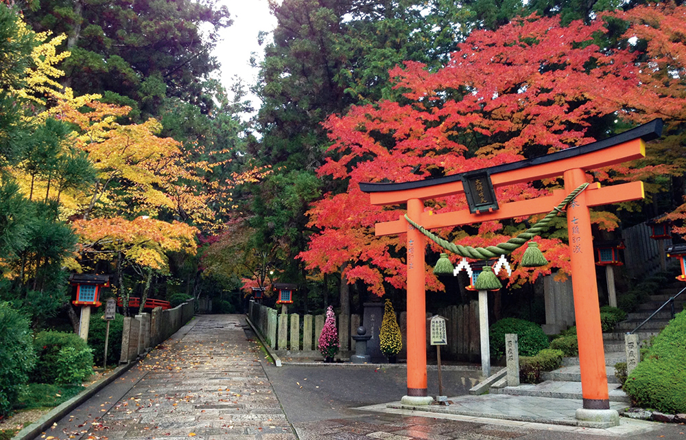 霊山寺-境内紅葉