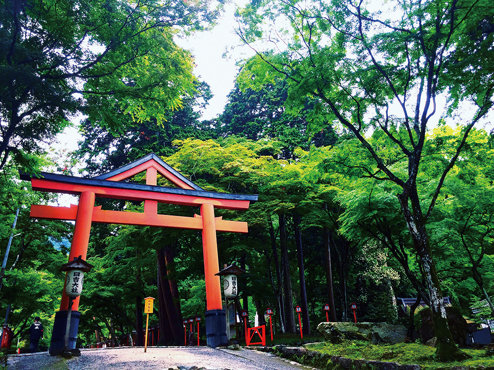 日吉大社-山王鳥居