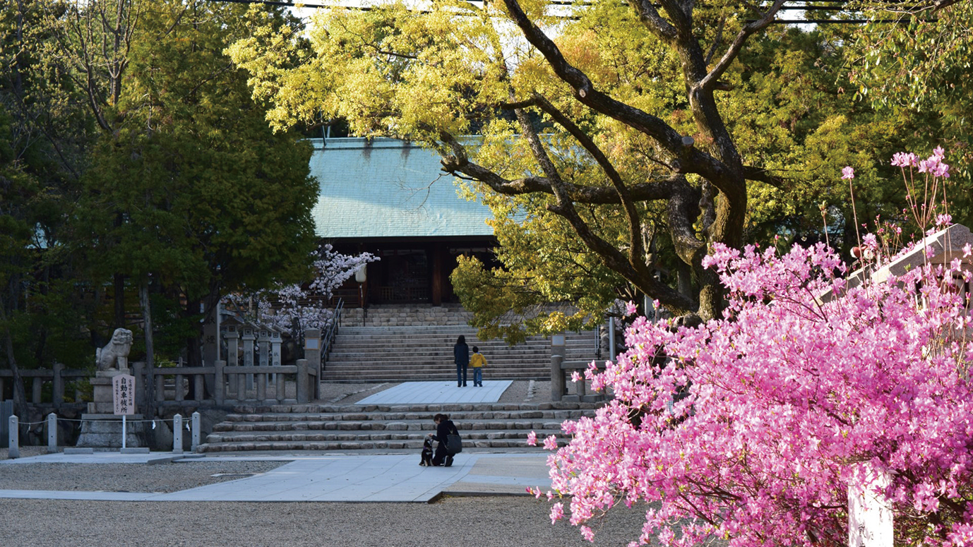 廣田神社-拝殿とコバノミツバツツジ