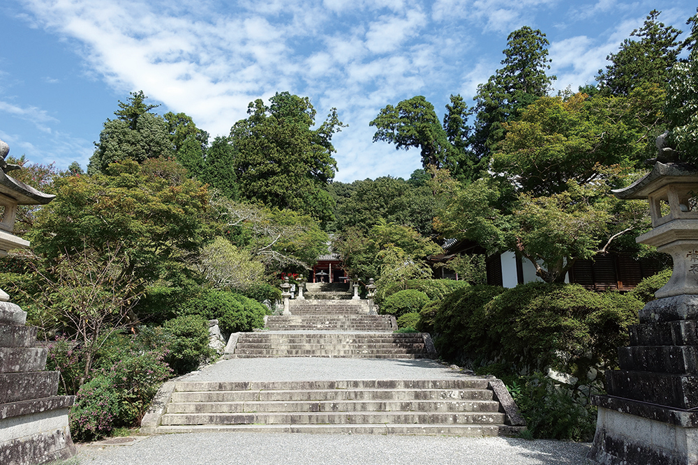 観心寺-金堂まで続く階段