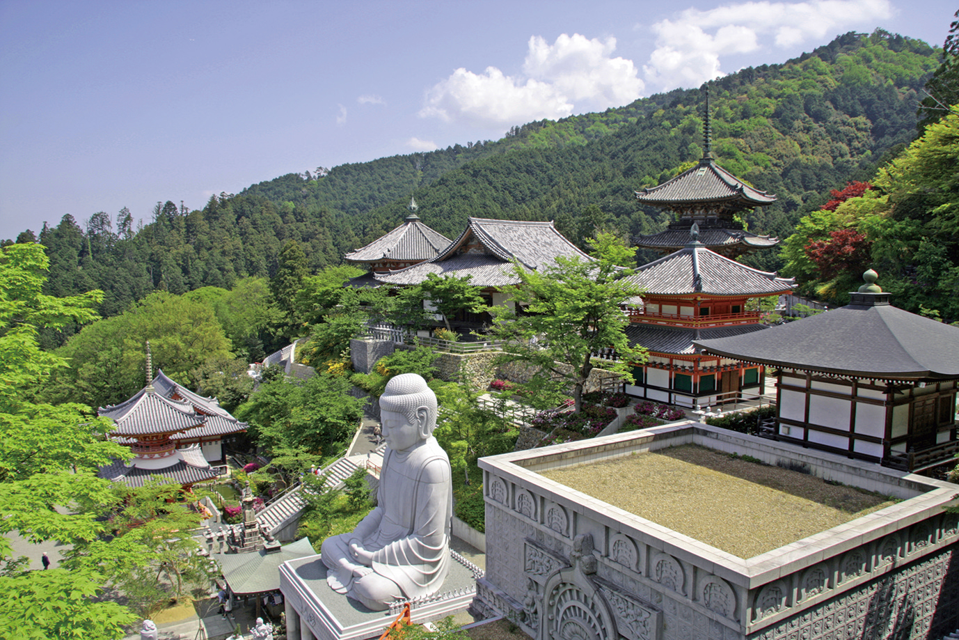 壺阪寺（南法華寺）-境内の堂塔伽藍と大石像仏