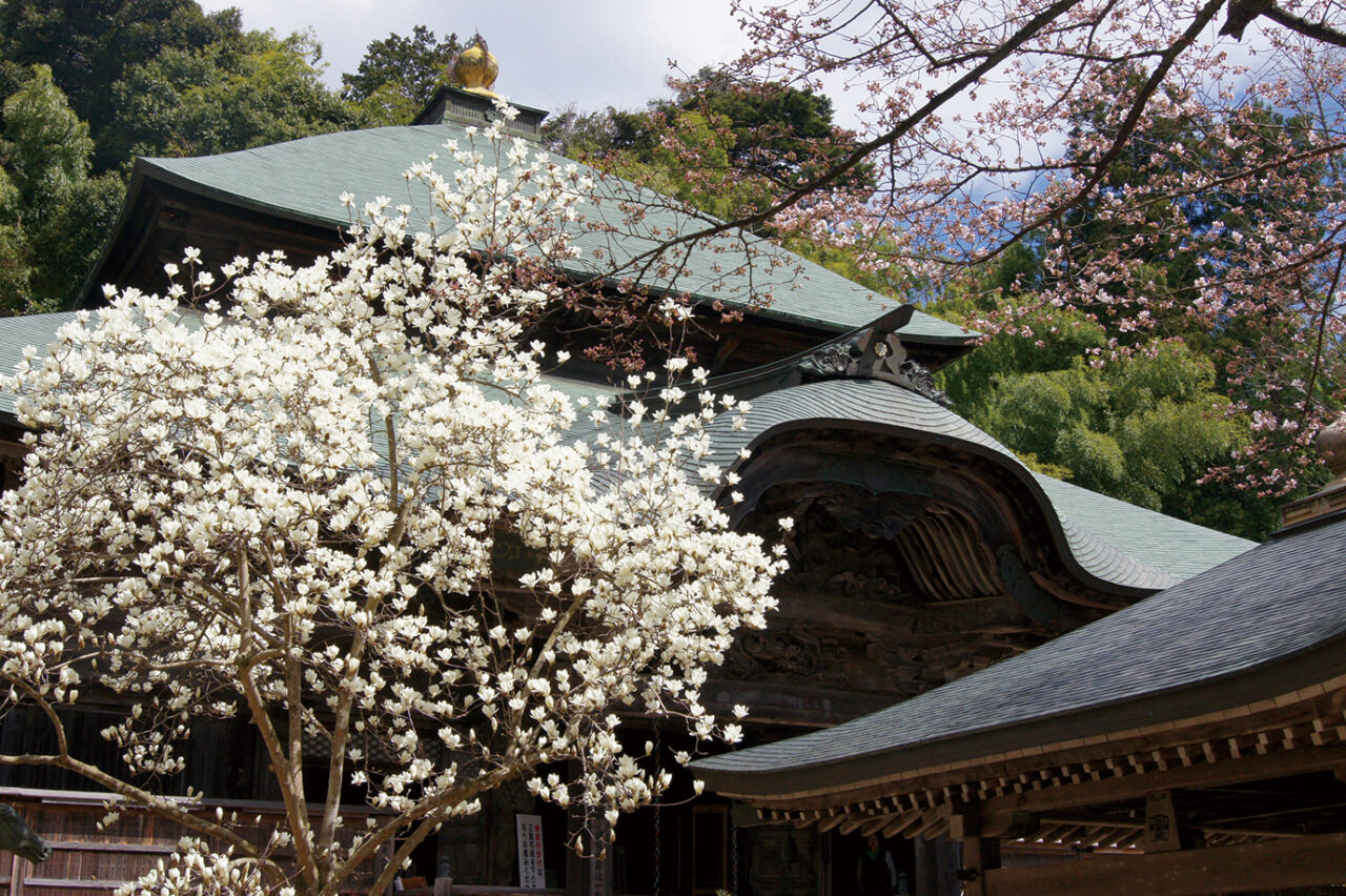 松尾寺-本堂