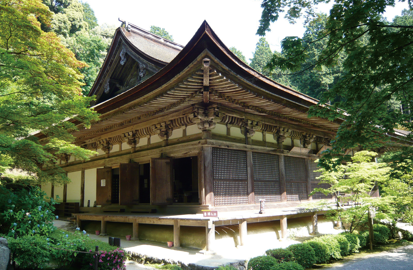 金剛輪寺-新緑の大悲閣本堂