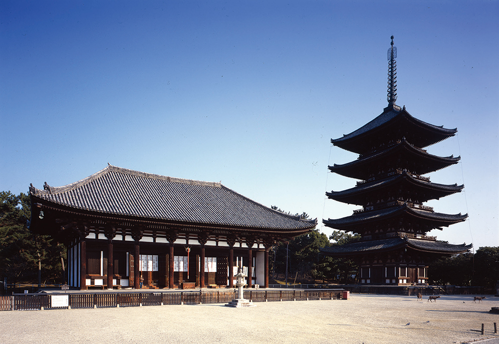 興福寺-東金堂と五重塔