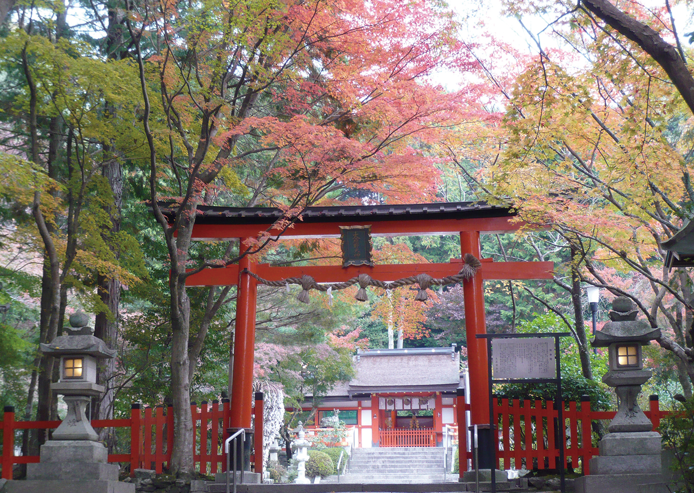 大原野神社-紅葉の参道