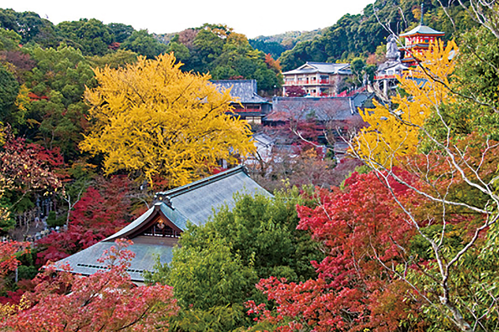 朝護孫子寺-秋の境内