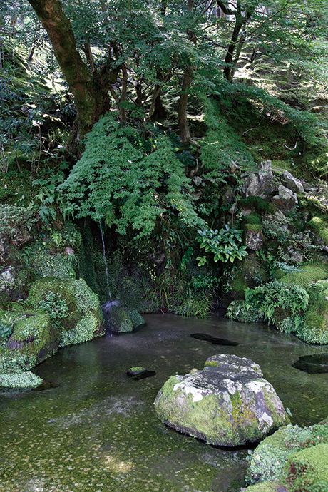 銀閣寺（慈照寺）洗月泉