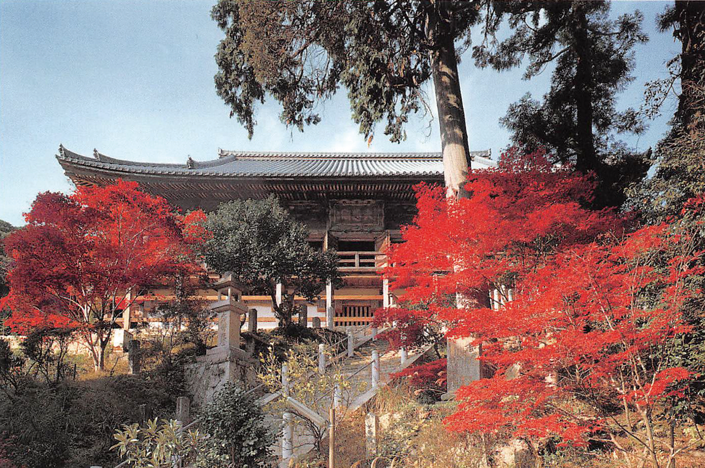 一乗寺-本堂の大悲閣