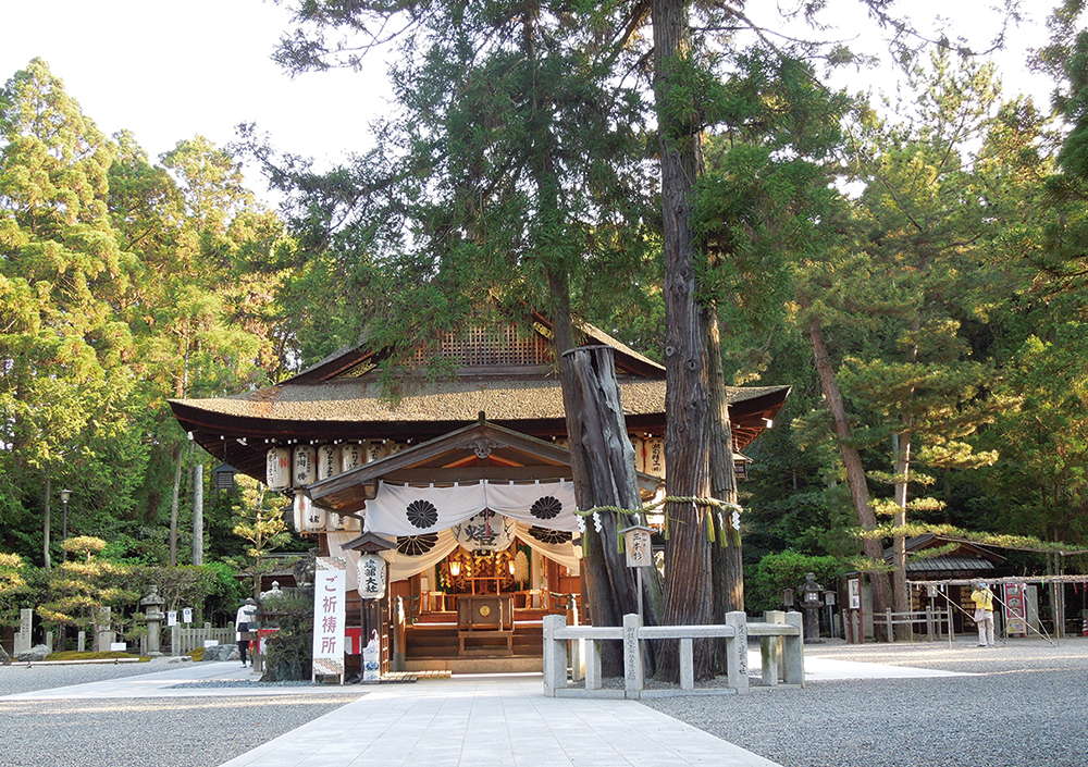 建部大社-拝殿と三本杉