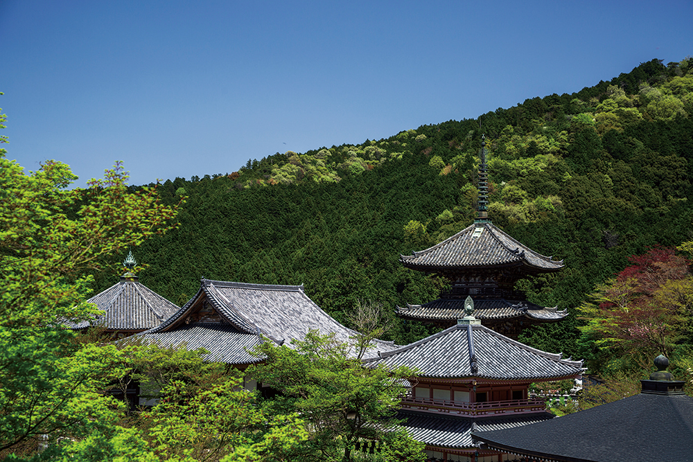 壺阪寺（南法華寺）-境内