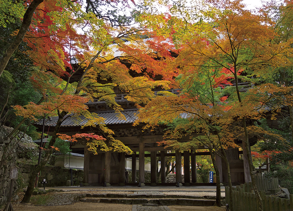 永源寺-紅葉に包まれた山門