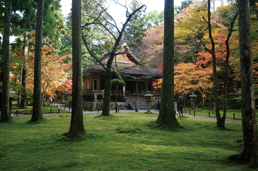 三千院-往生極楽院