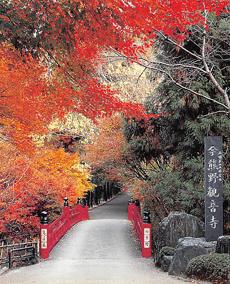 観音寺-鳥居橋と紅葉