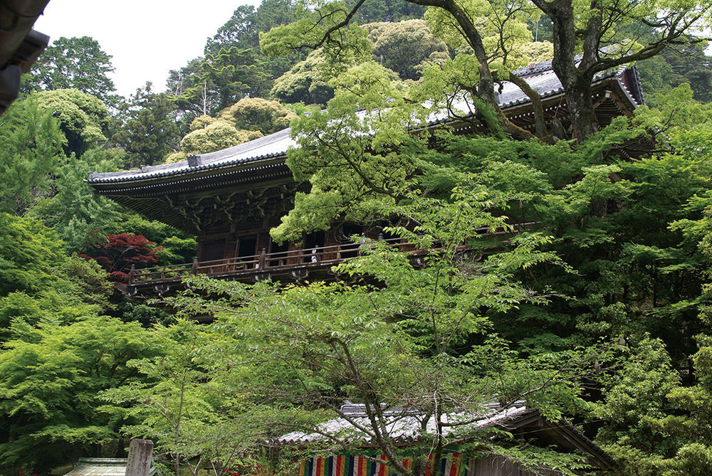 圓教寺-新緑の摩尼殿