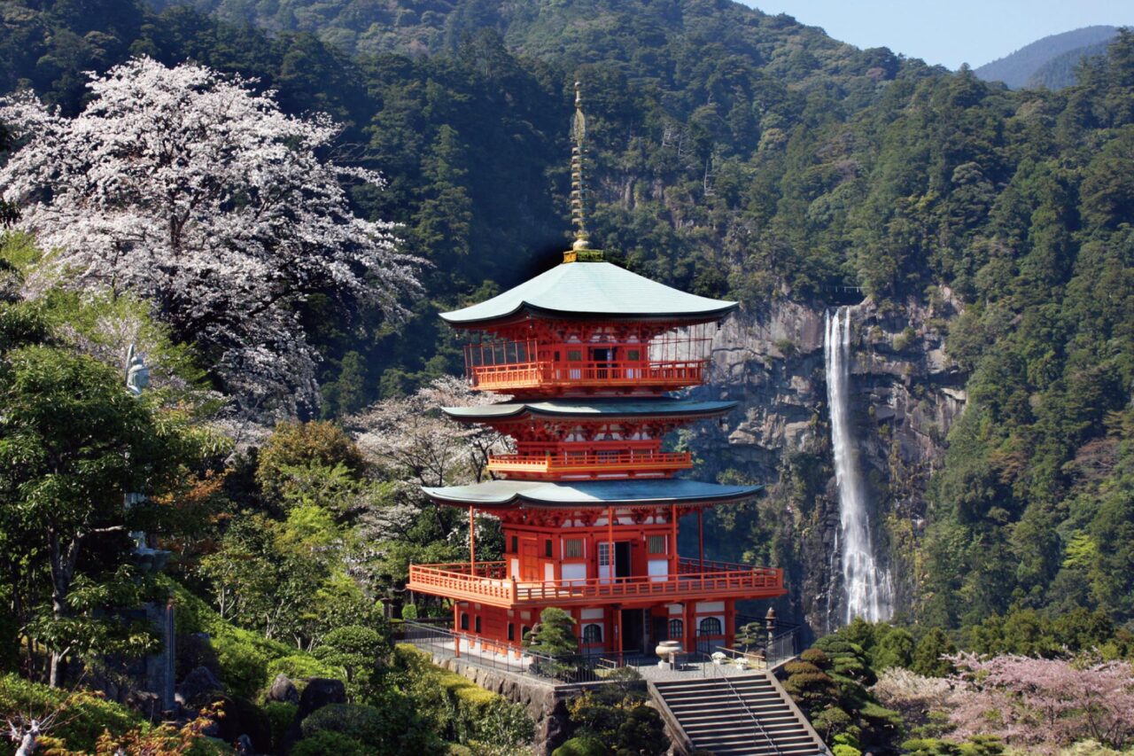 三重塔と那智の滝（春桜）